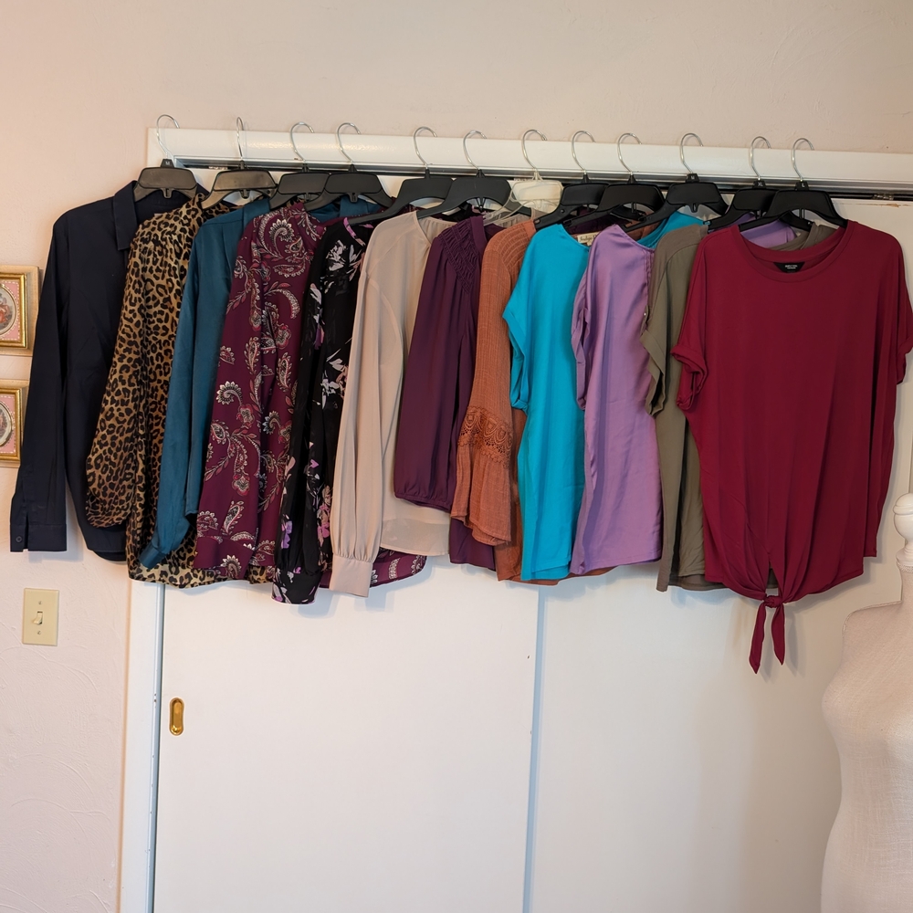 Ladies 12 Pc Assorted Tops & Blouses - Lg
